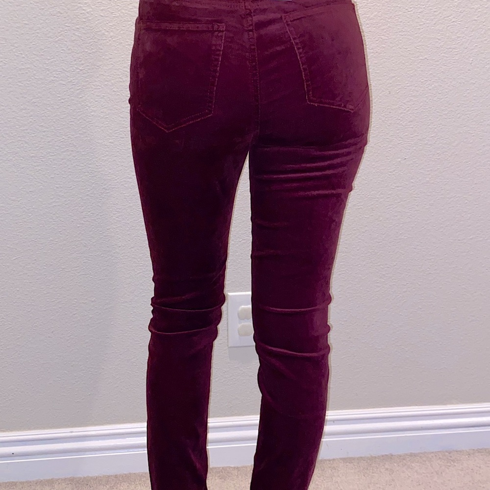 Velvet pants - Picture 2 of 5